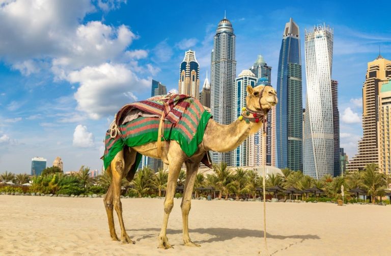 Why Invest Real Estate in Dubai: A Global Opportunity